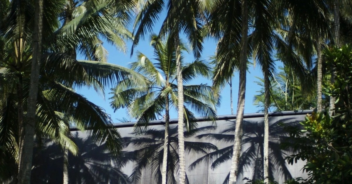 Luxury Ubud Guide 2026: Best Hotels & Restaurants in Bali