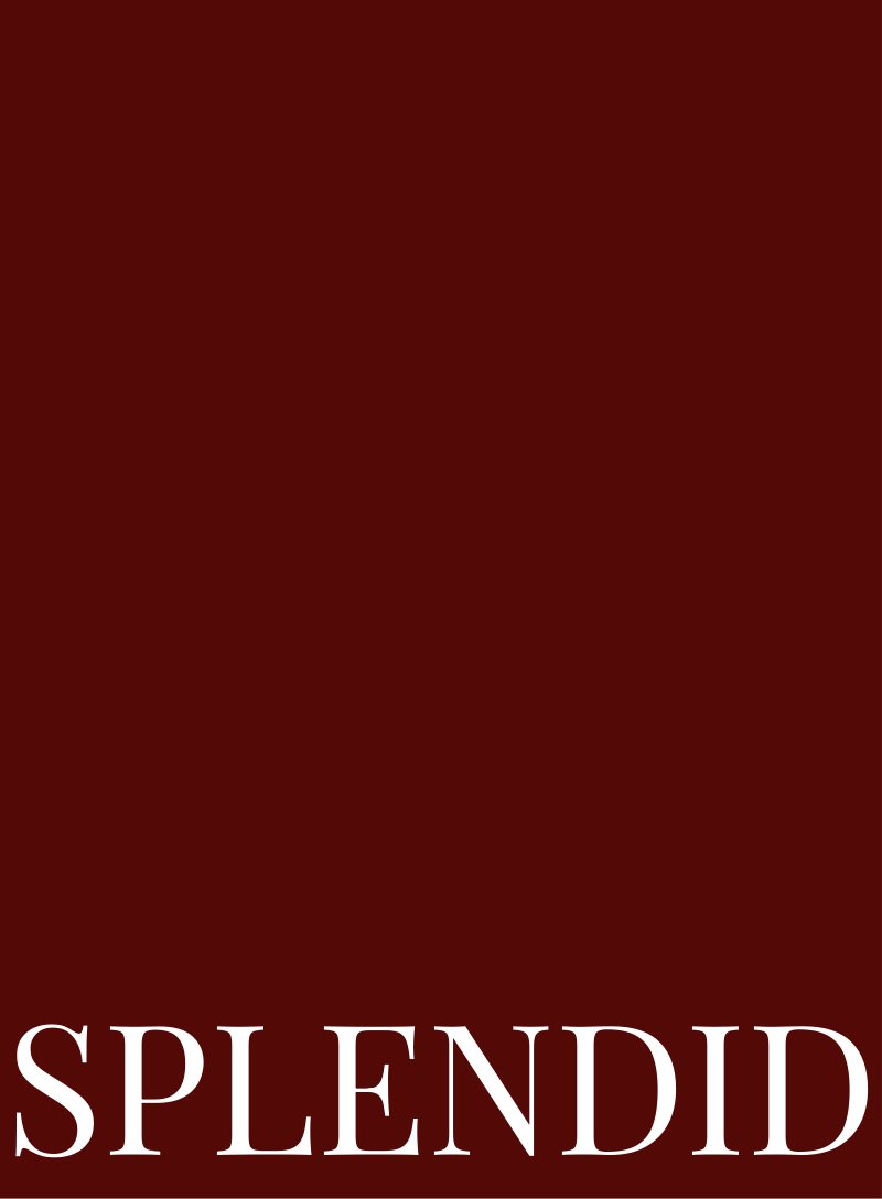 Hotel Diaries by Splendid Magazine, limited edition hardcover